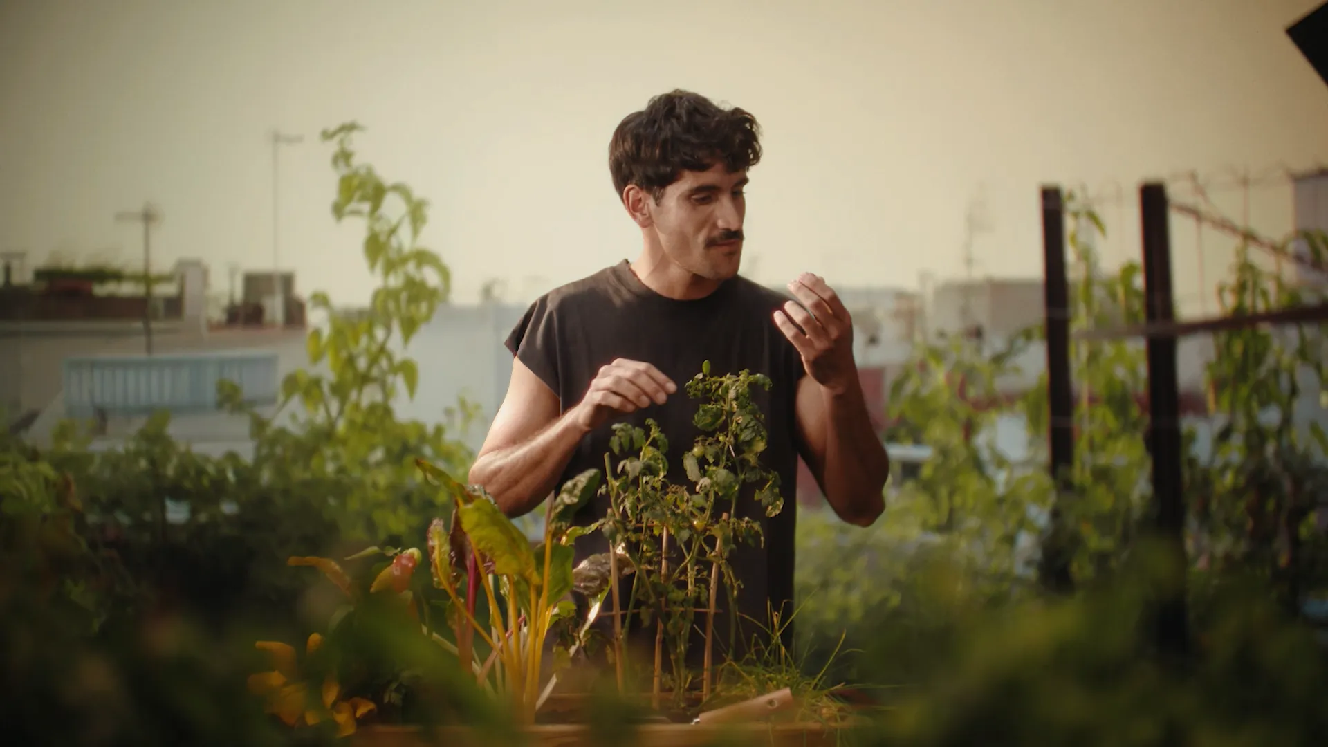 El Águila — still 4