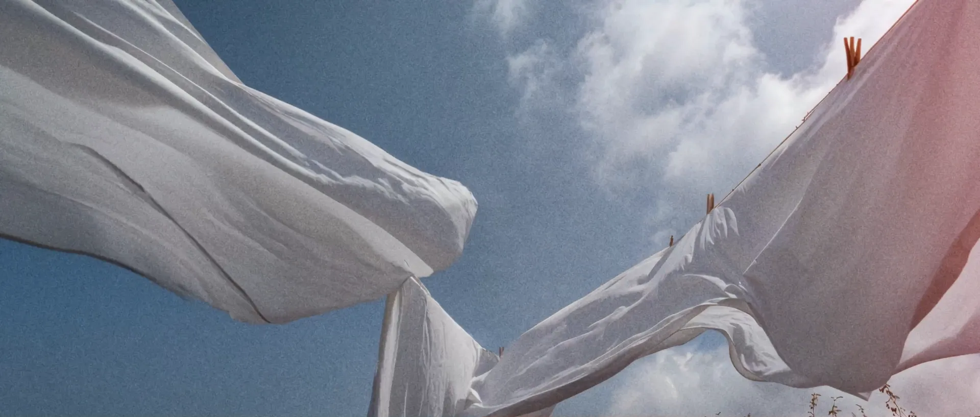 Vera — still 6