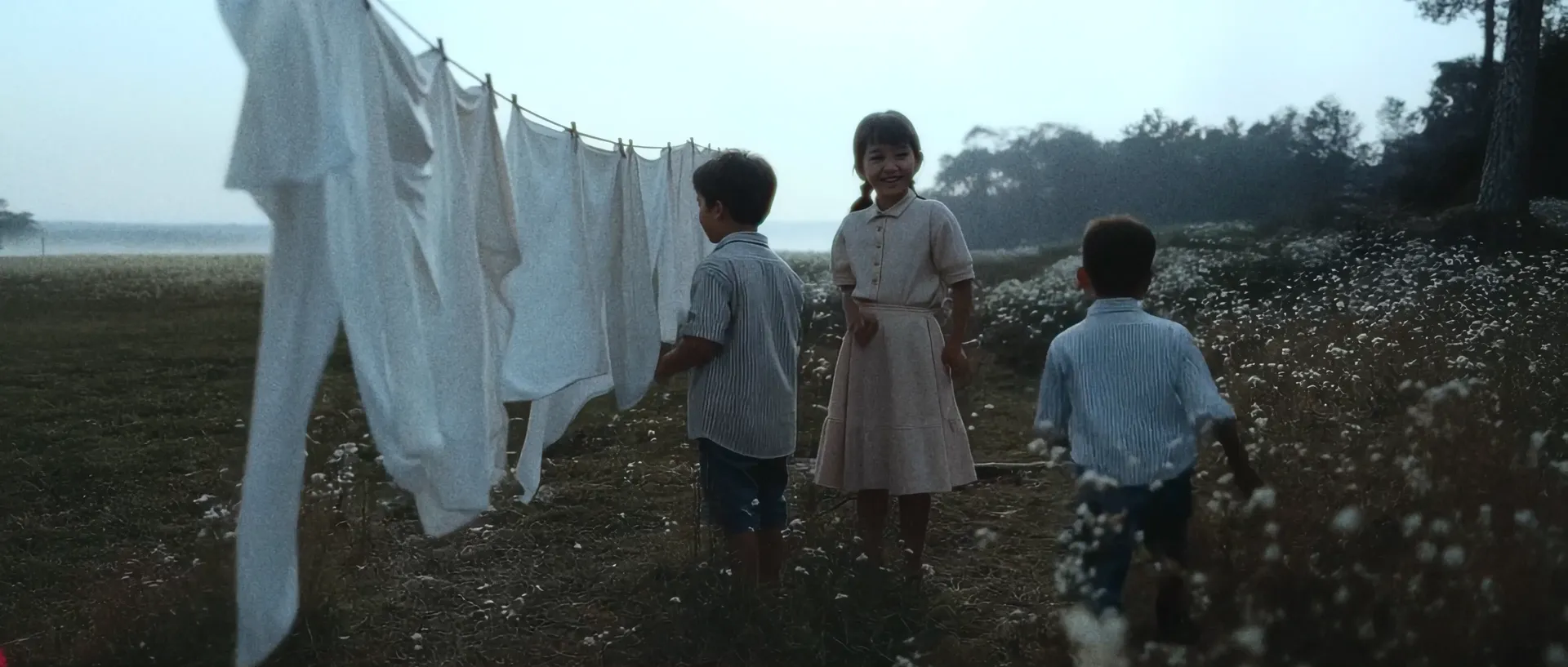 Vera — still 7