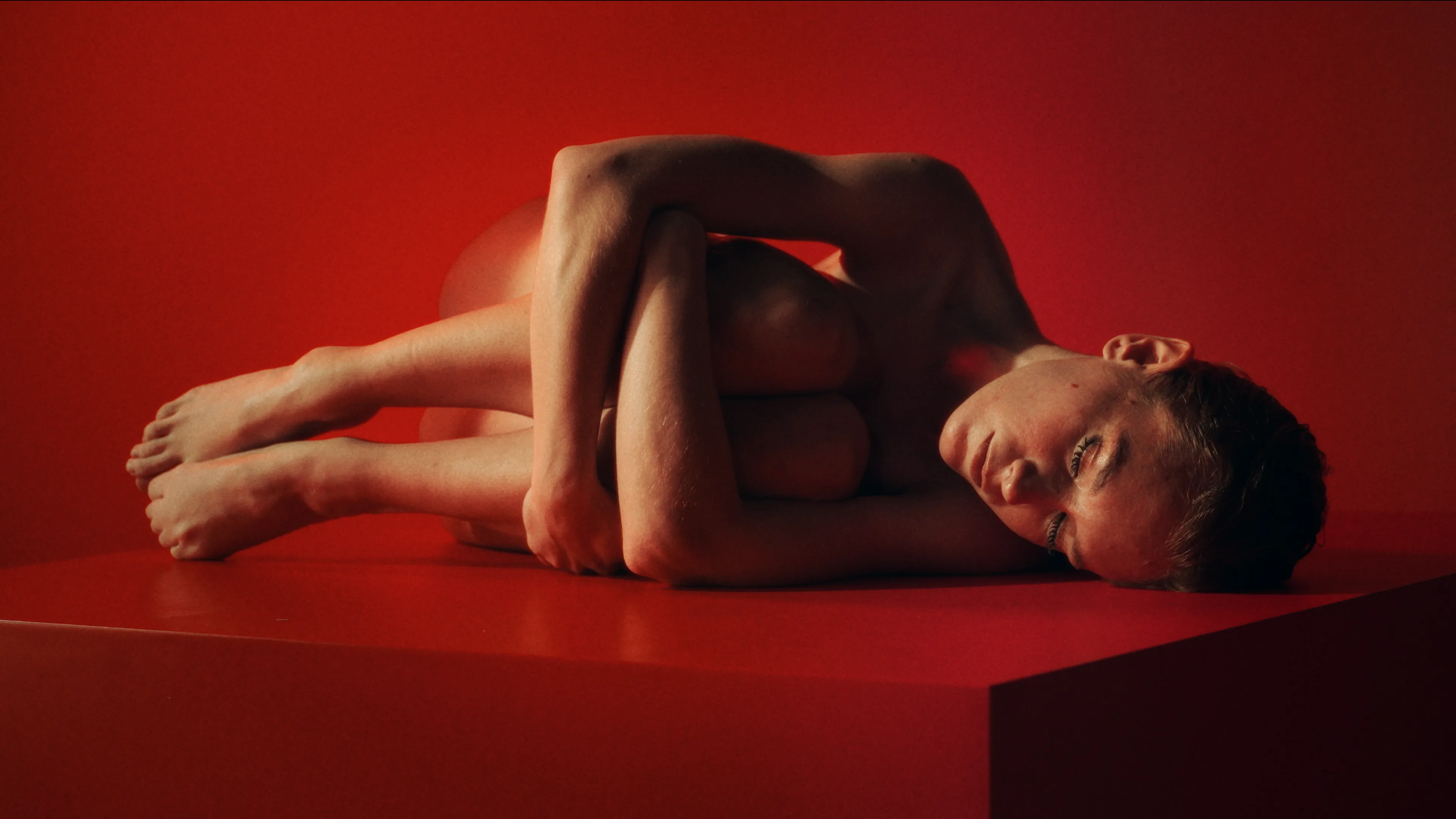 Adormidera — still 8